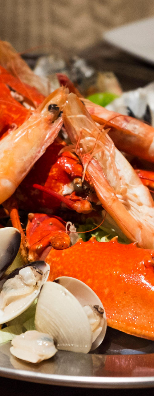 Seafood platter with lobster and oysters