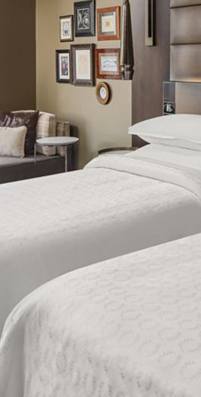 Modern hotel room with twin beds