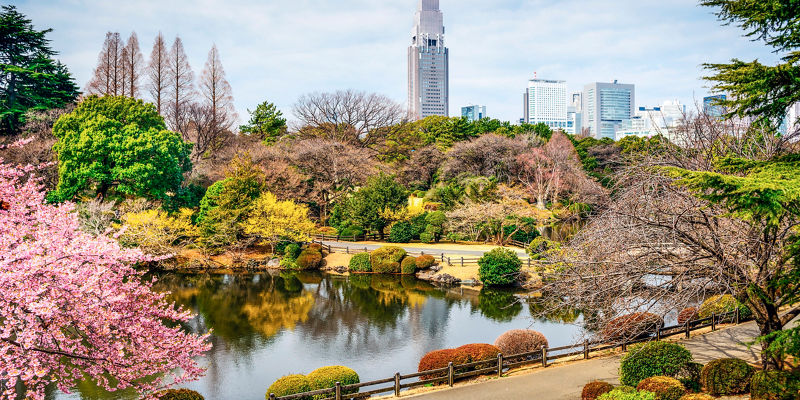 Shinjuku Gyoen park with city skyline view