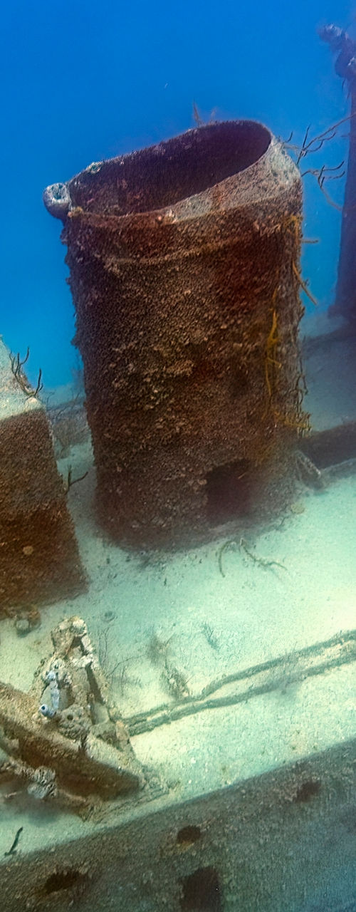 Underwater shipwreck surrounded by marine life