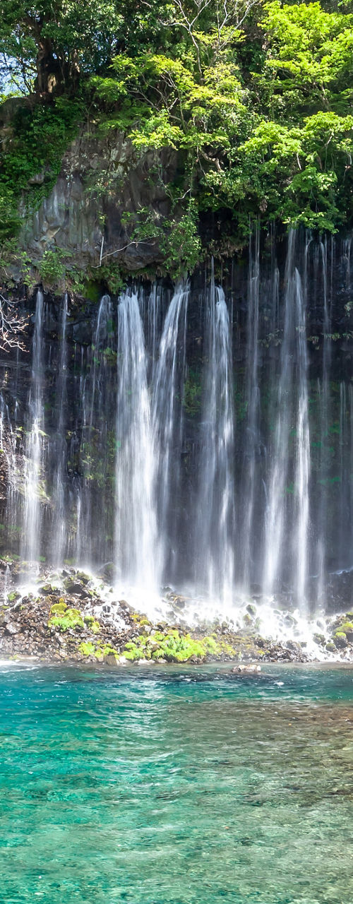 Clear Waterfalls Flowing Into Turquoise Pool in Forest