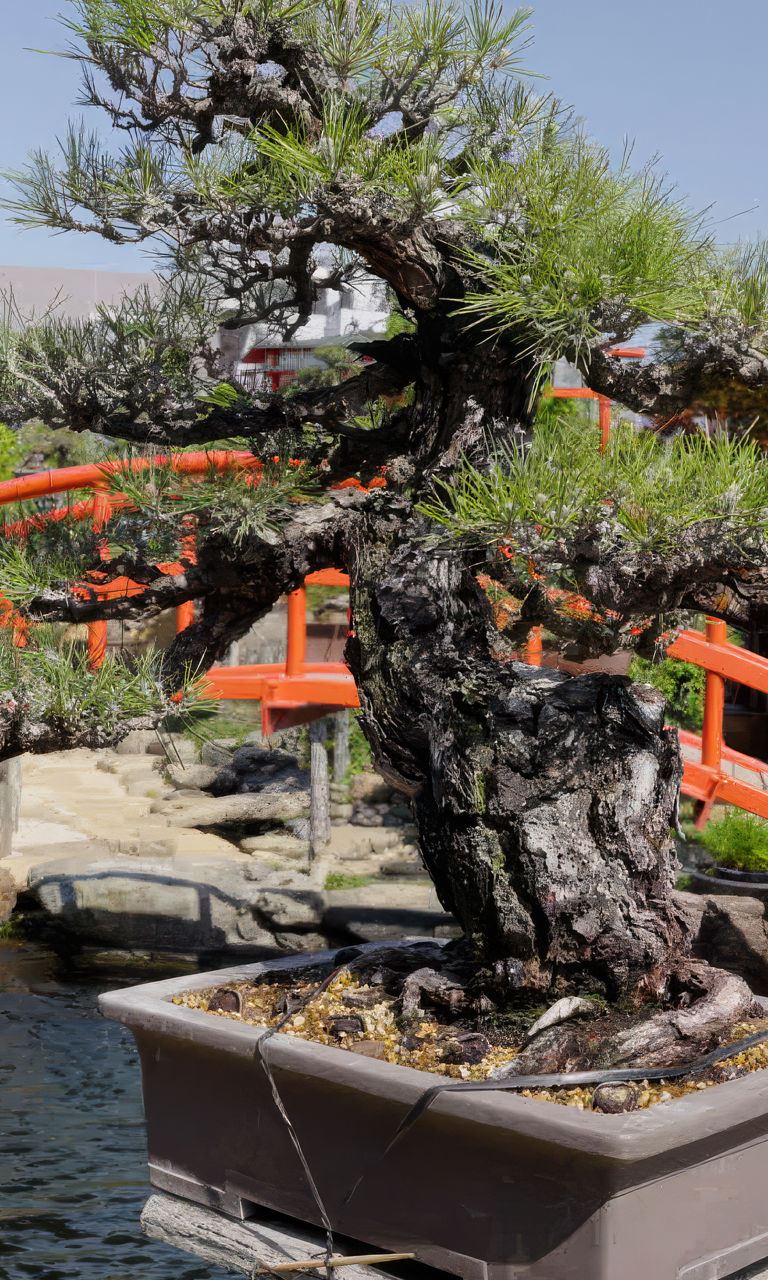 Bonsai tree near red bridge in garden