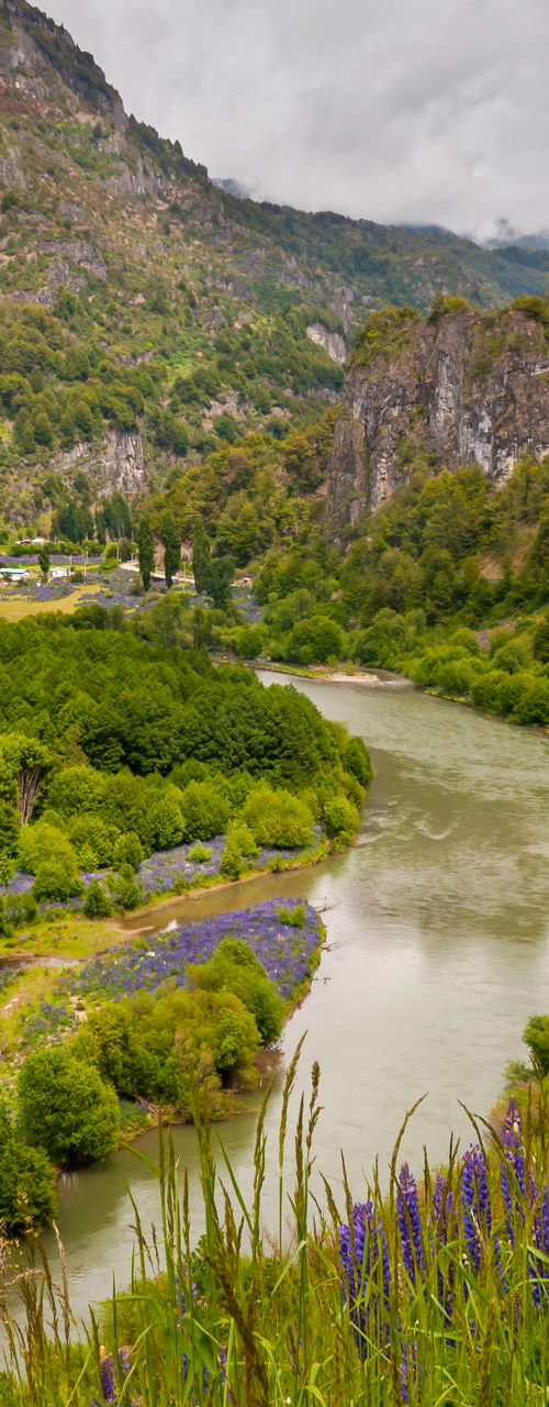 Scenic river valley with lush greenery