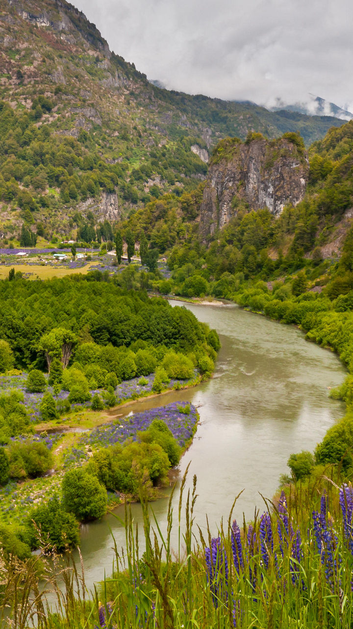 Scenic river valley with lush greenery
