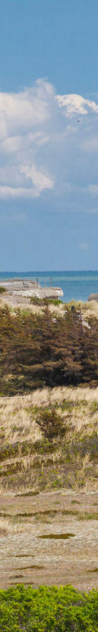 Coastal lighthouse with red-roofed houses