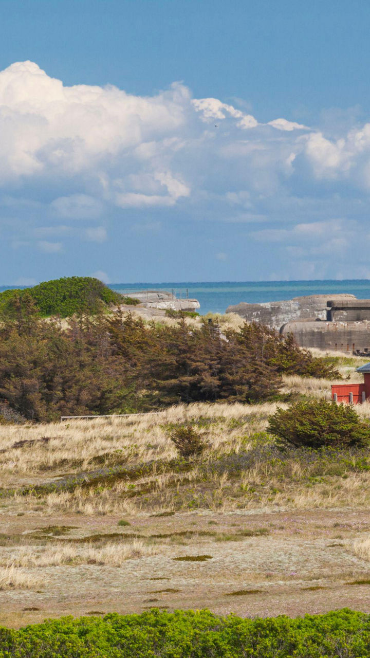 Coastal lighthouse with red-roofed houses