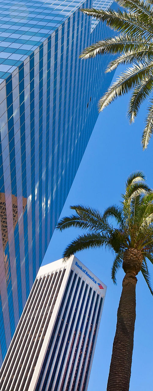 Skyscrapers and palm trees under blue sky