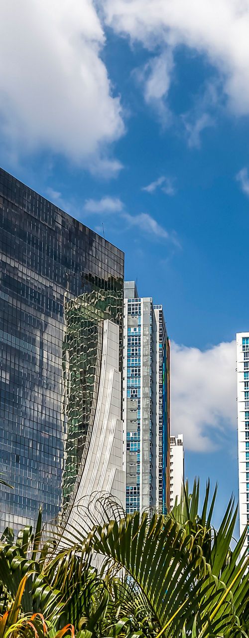 Modern skyscrapers with lush greenery