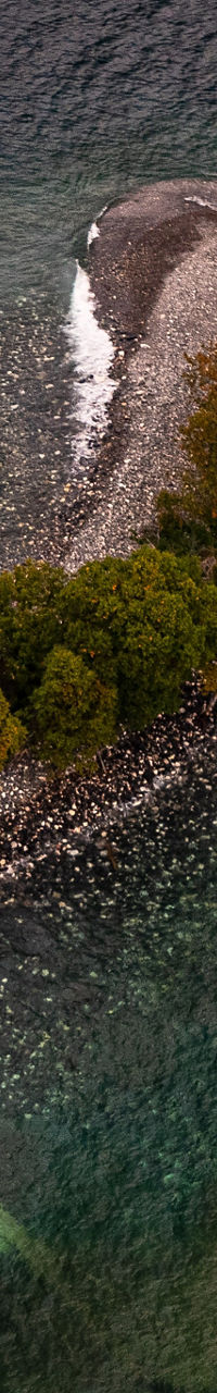 Aerial view of small forested island