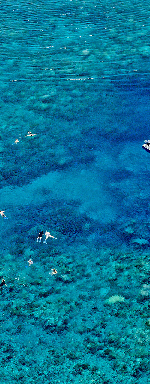 Catamaran near coral reef in clear waters