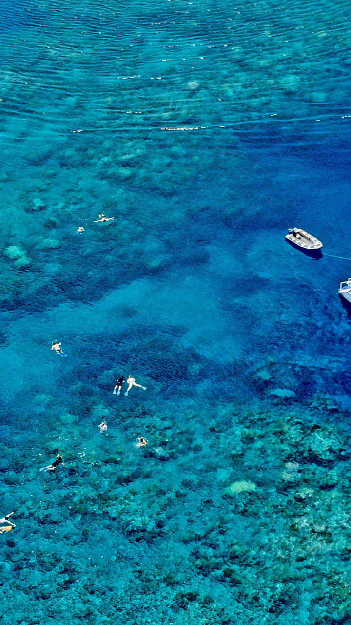 Great Barrier Reef Above & Below