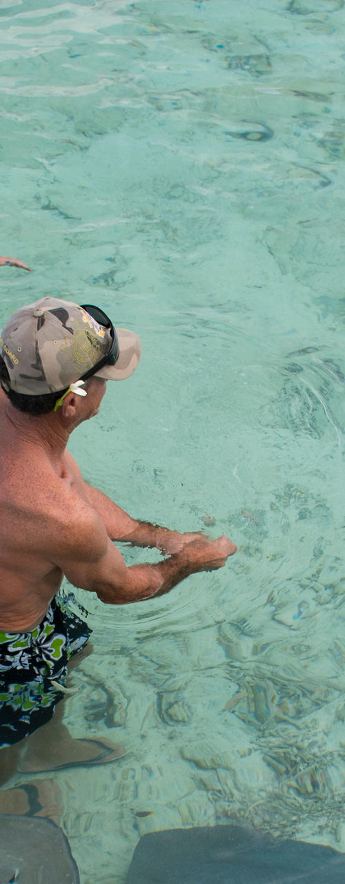 Tourists interact with stingrays in clear water