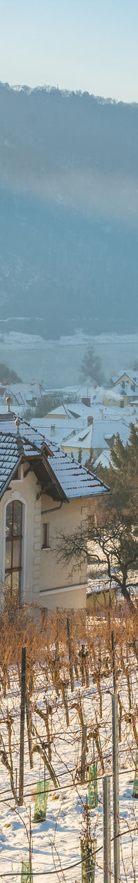 Snowy vineyard with historic church view