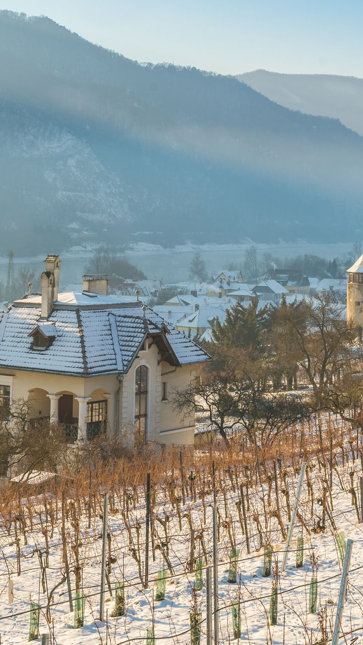 Snowy vineyard with historic church view