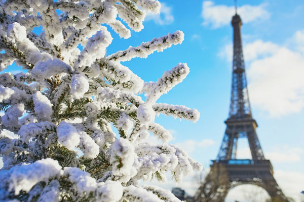 Snow-covered tree near Eiffel Tower