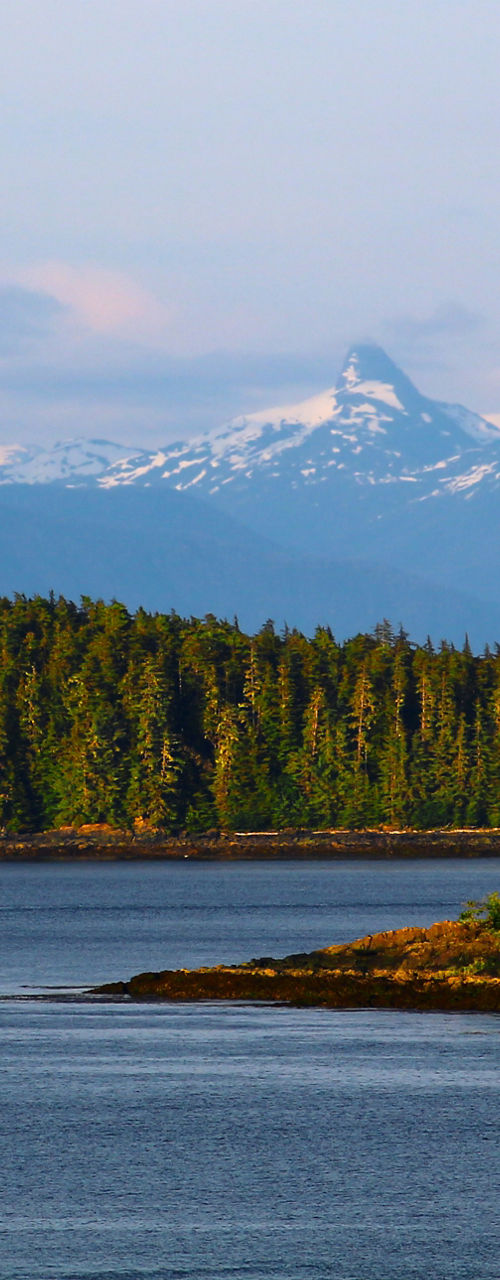 Serene coastal forest with distant snow-capped mountains