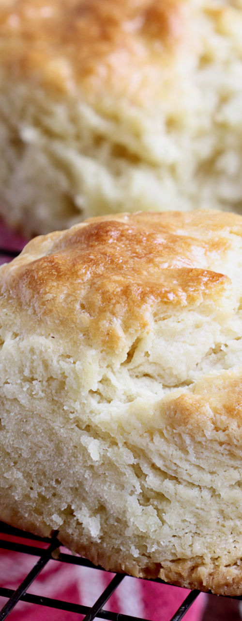Freshly baked biscuits on cooling rack