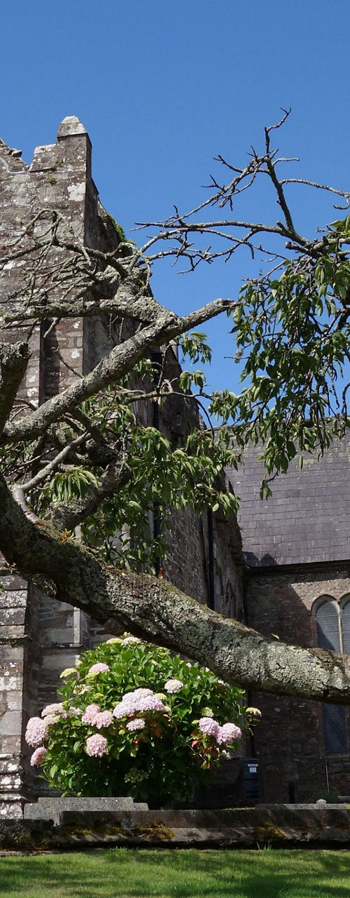 Historic stone church with leaning tree