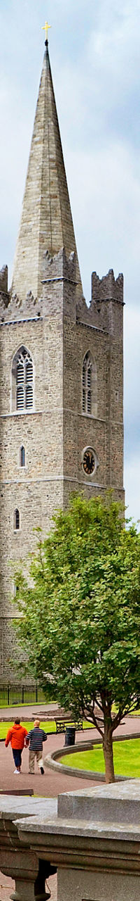 St. Patrick's Cathedral with lush gardens