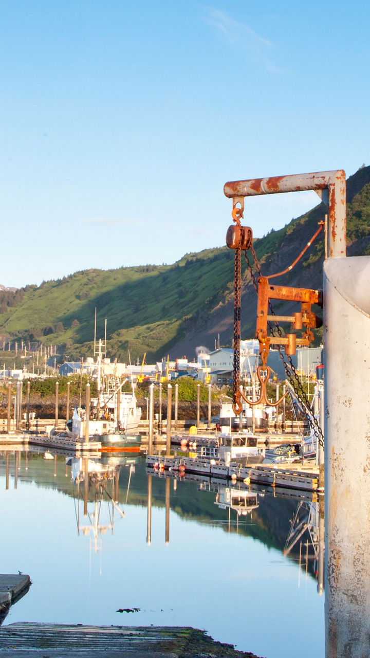 Kodiak On Your Own