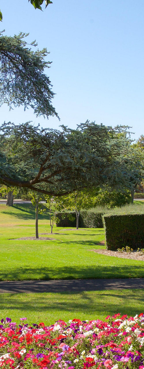 Cathedral view with vibrant garden flowers
