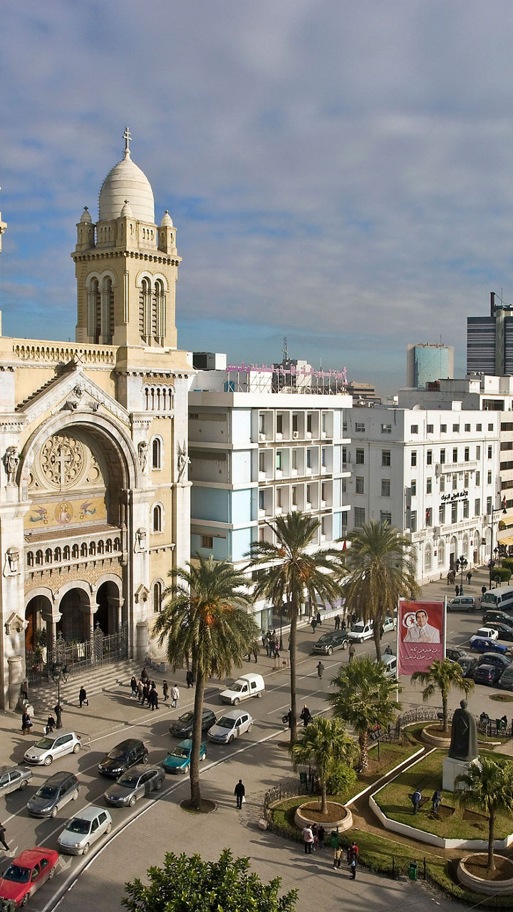 Tunis Highlights & Souk Visit