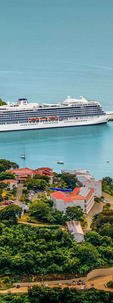 Cruise ship docked at tropical port