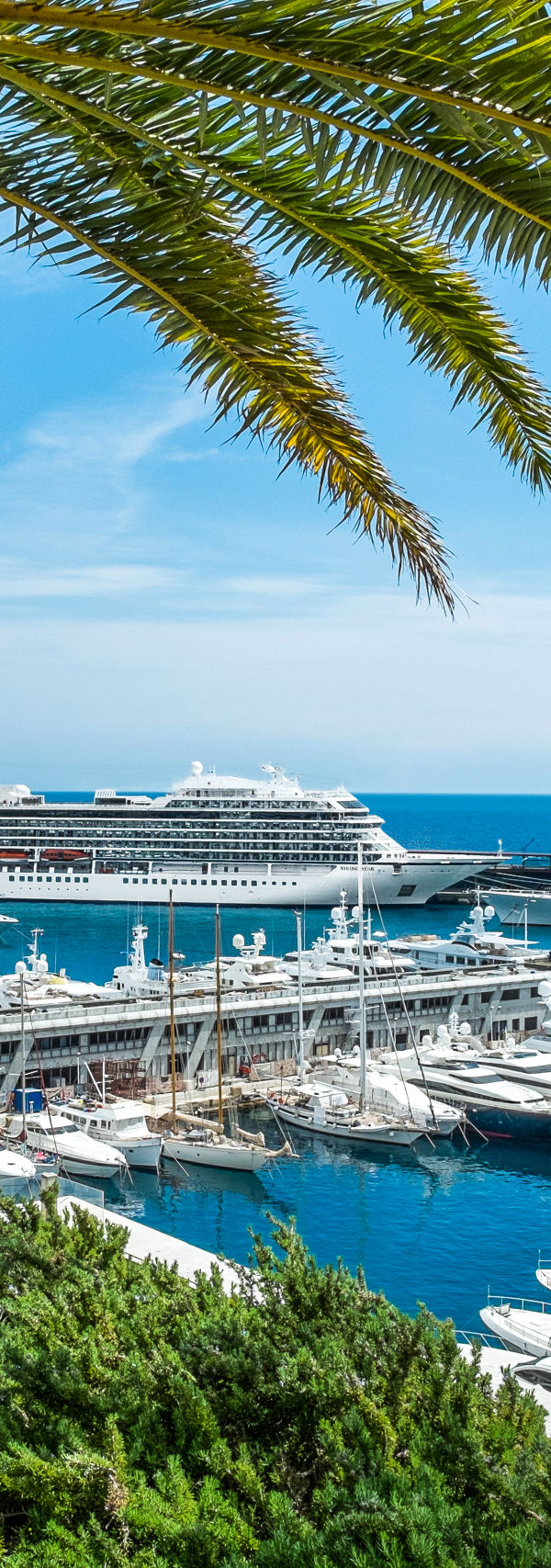 Luxury yachts and cruise ship in marina