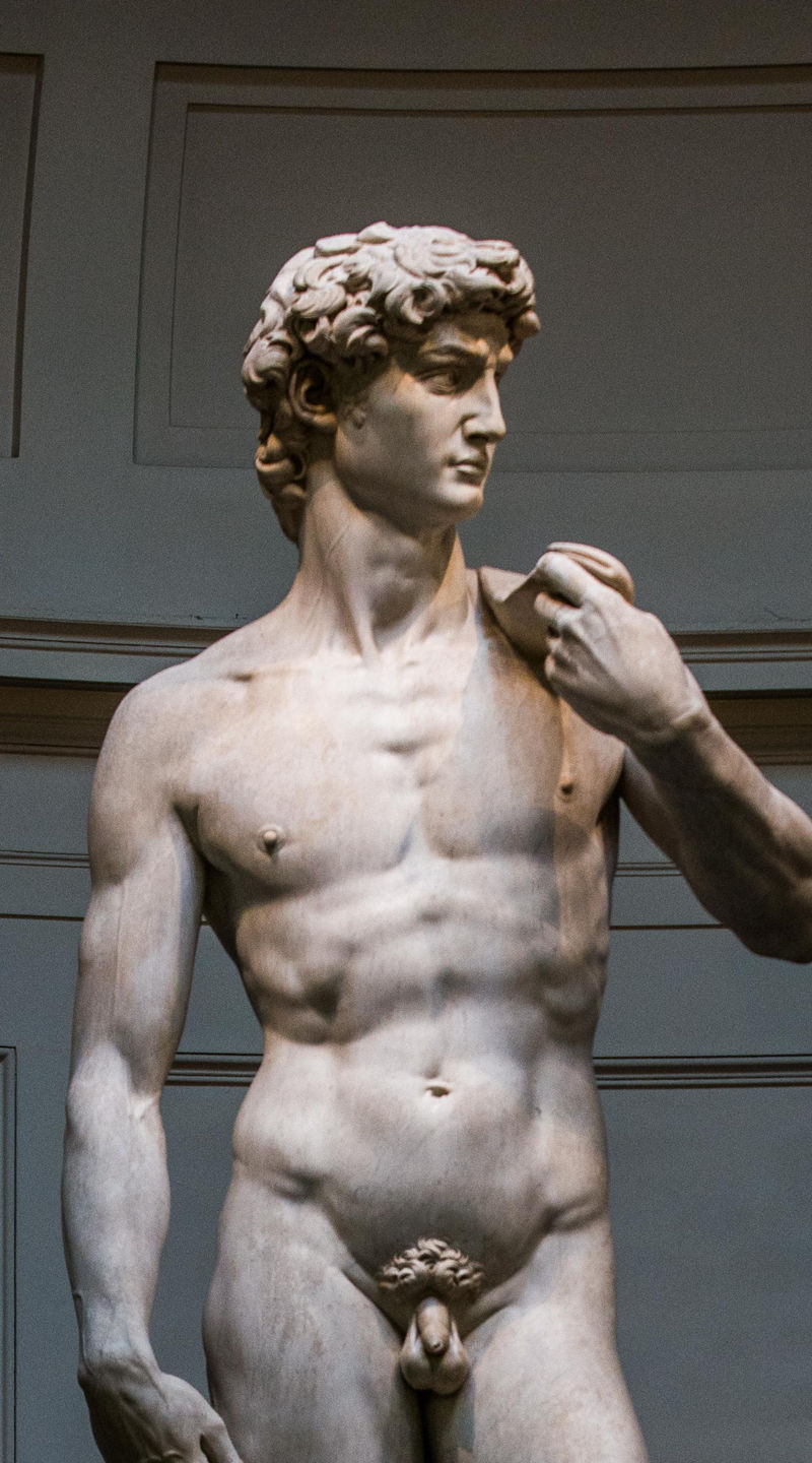 Michelangelo's David in museum setting