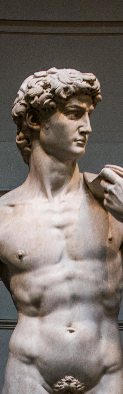 Michelangelo's David in museum setting