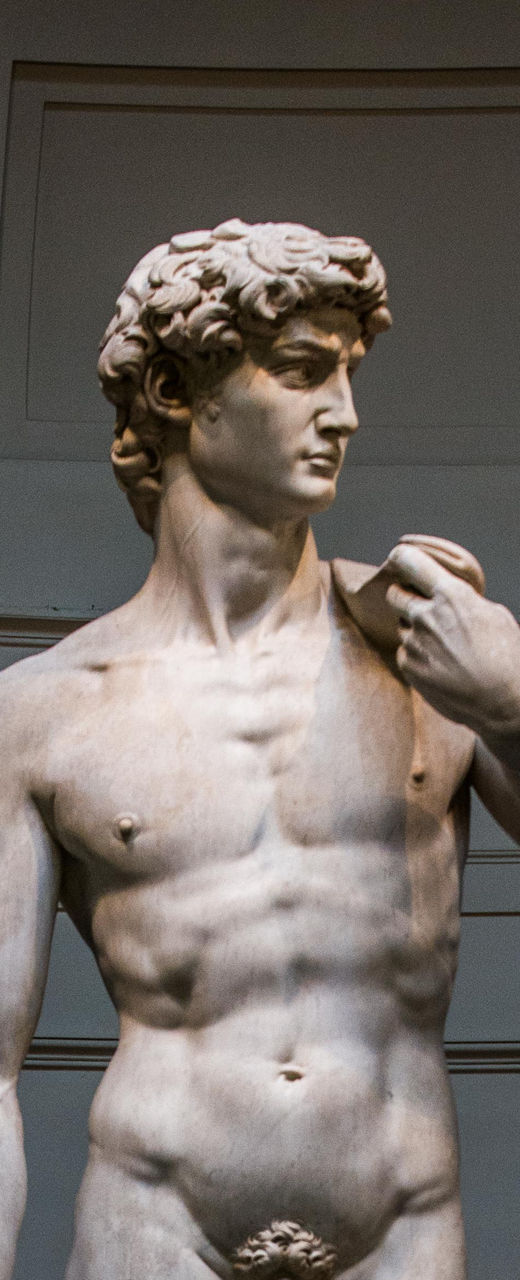 Michelangelo's David in museum setting