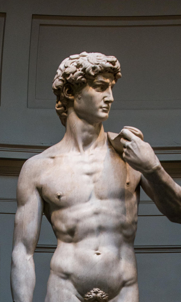 Michelangelo's David in museum setting
