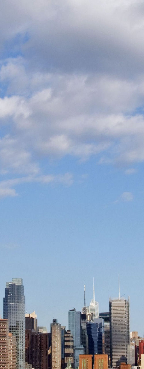 Statue of Liberty with city skyline view