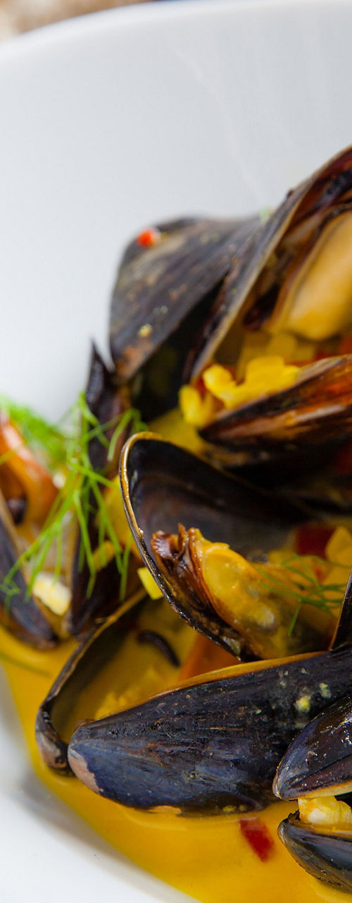 Steamed mussels in creamy saffron sauce