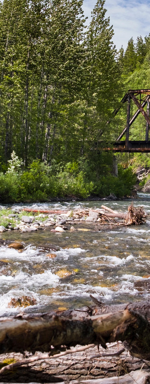 Scenic river with rustic bridge in forest
