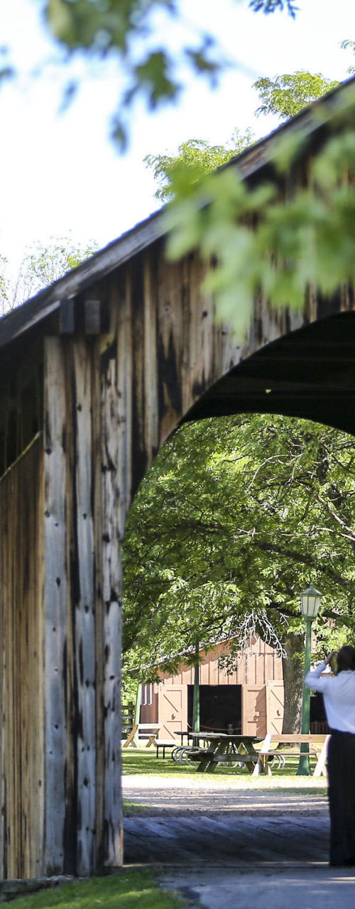 Rustic wooden bridge in sunny park