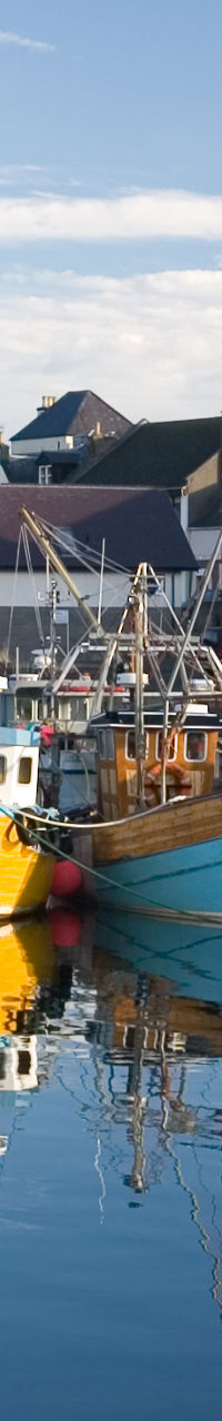 Colorful fishing boats docked at coastal harbor