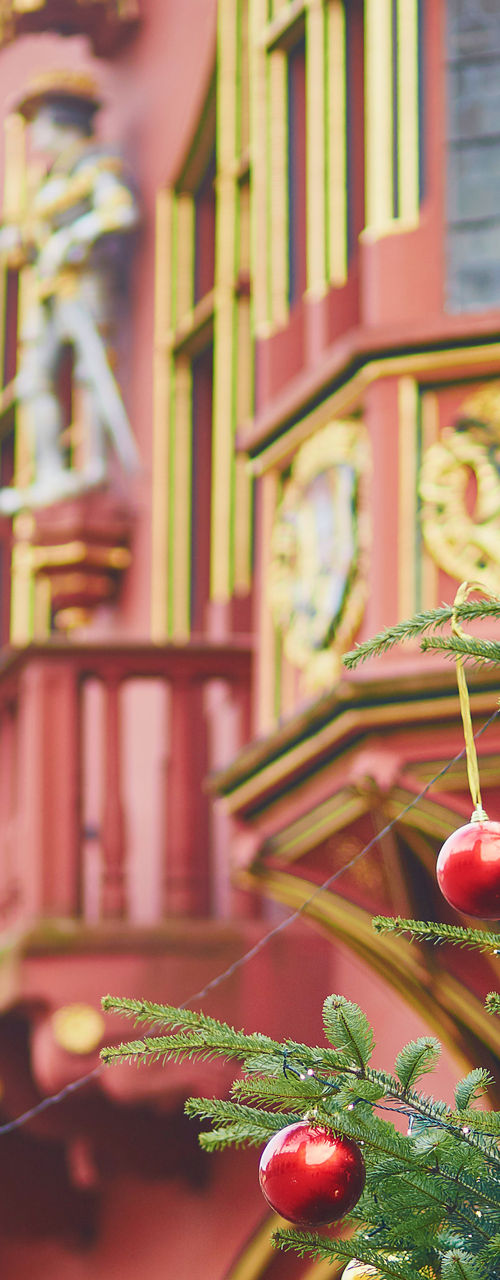 Festive Christmas trees in historic square