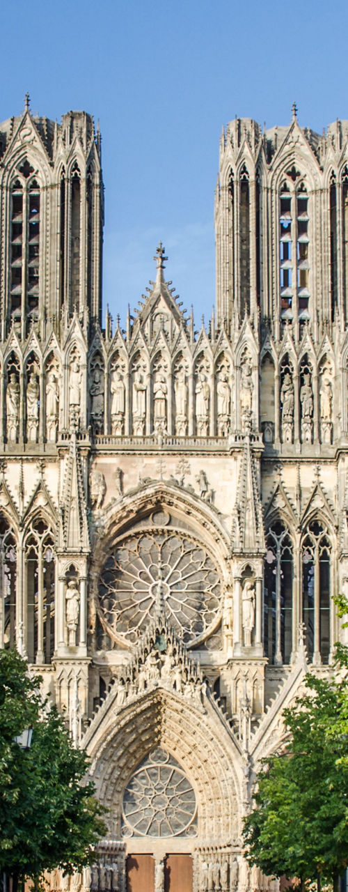 Reims Cathedral with tree-lined pathway
