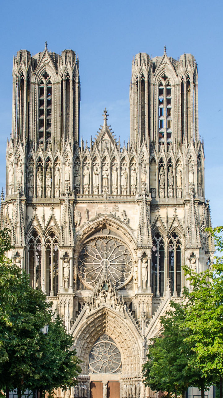 Reims Cathedral with tree-lined pathway
