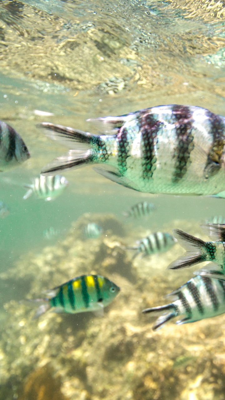 Wasini Island & Kisite Marine National Park