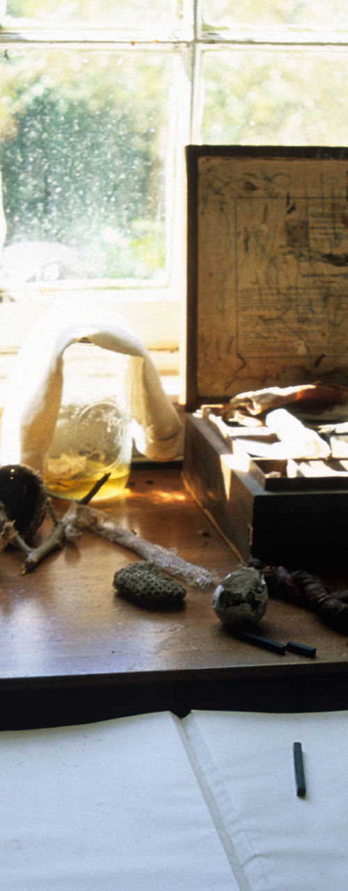 Vintage writing desk with bird sketch