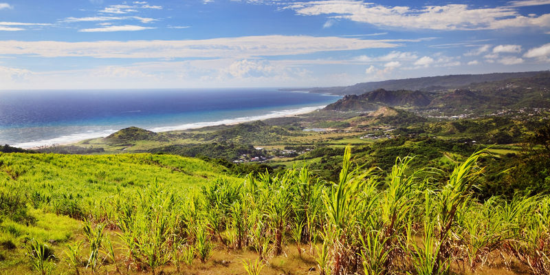 Scenic coastal landscape with lush greenery