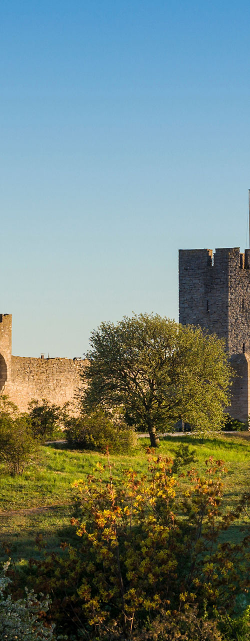 Medieval stone city walls in spring landscape