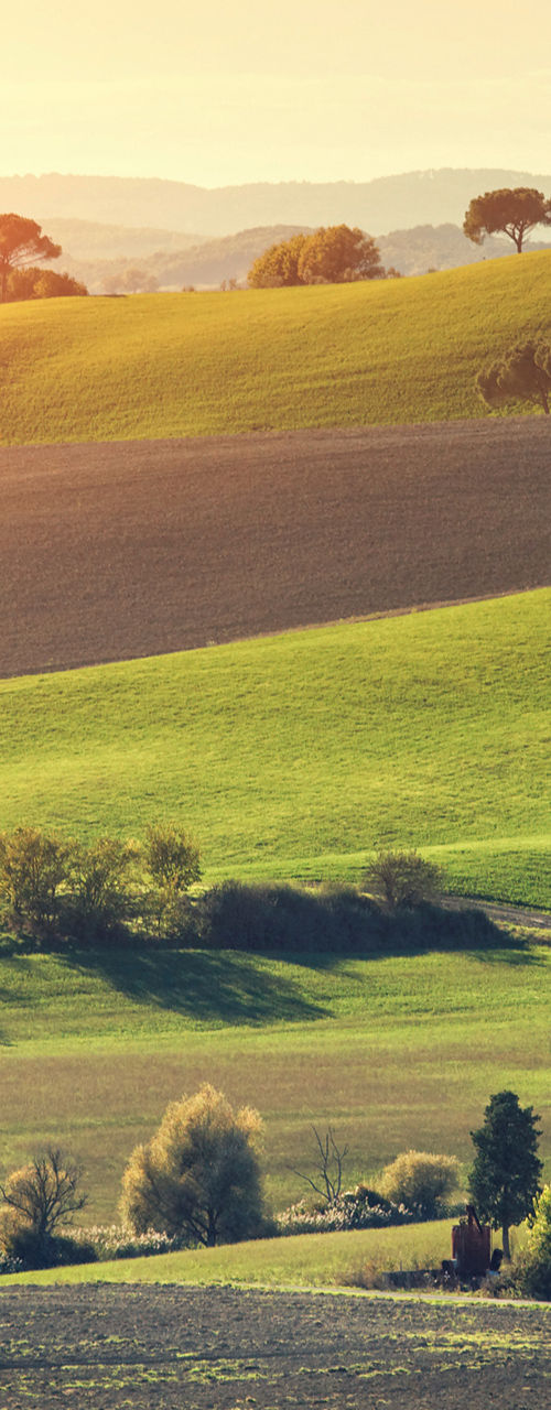 Sunlit Tuscan countryside with rolling hills
