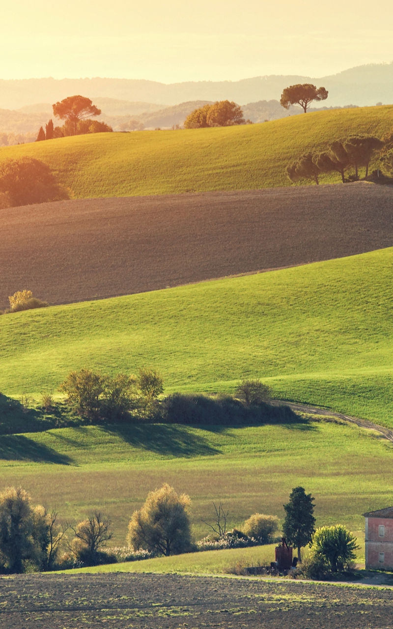 Sunlit Tuscan countryside with rolling hills