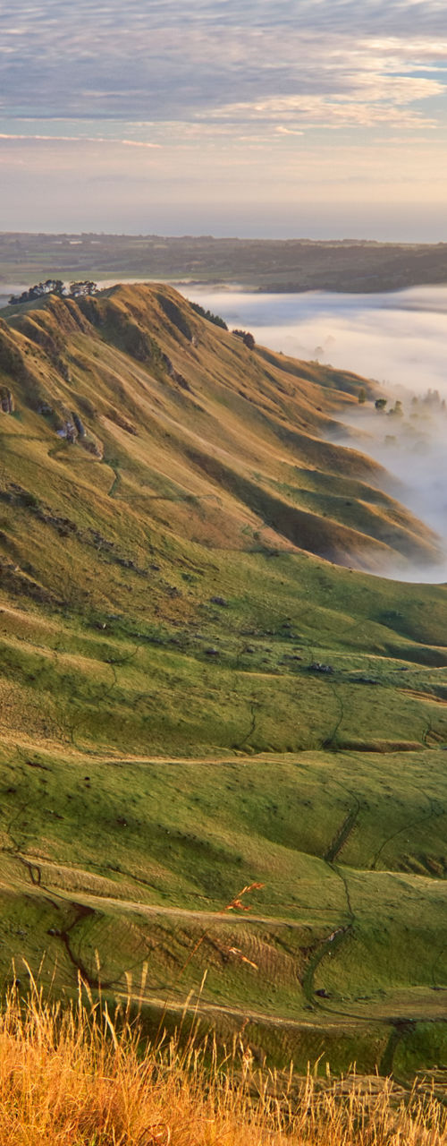 Scenic sunrise over misty green valley