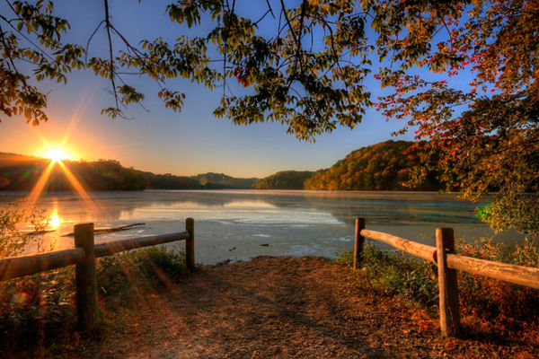 Scenic sunrise over tranquil lake and forest