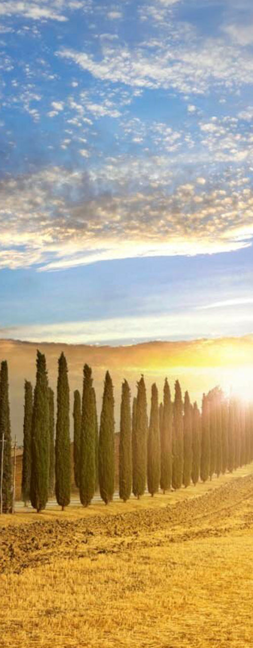 Sunset over Tuscan countryside with cypress trees