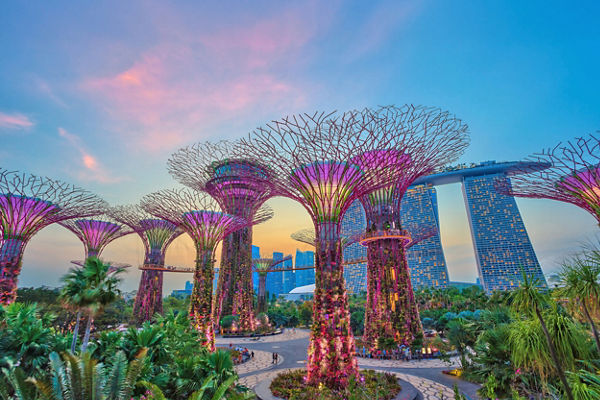 Singapore Supertree Grove at sunset